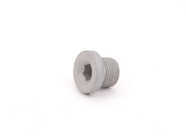 02D525729 - NEW VOLSKWAGEN BEETLE 9C HALDEX OIL DRAIN SCREW 02D525729 ORIGINAL