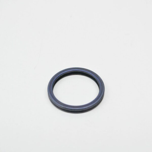 07K121149 - NEW VOLKSWAGEN BEETLE A5 COOLANT FLANGE SEAL 07K121149 ORIGINAL