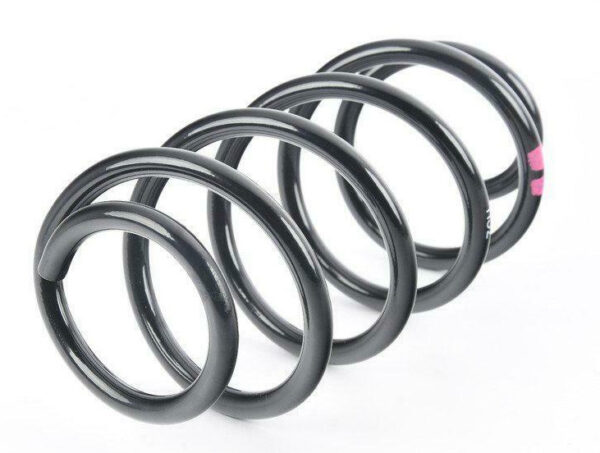 1K0411105DM - NEW VOLKSWAGEN GOLF MK7 FRONT COIL SPRING 1K0411105DM ORIGINAL