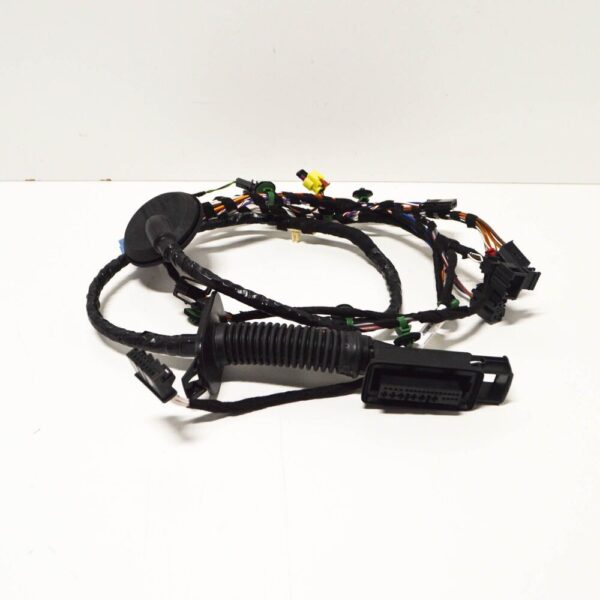 3G1971121P - NEW VW PASSAT B8 FRONT RIGHT DOOR WIRING HARNESS LOOM LHD 3G1971121P